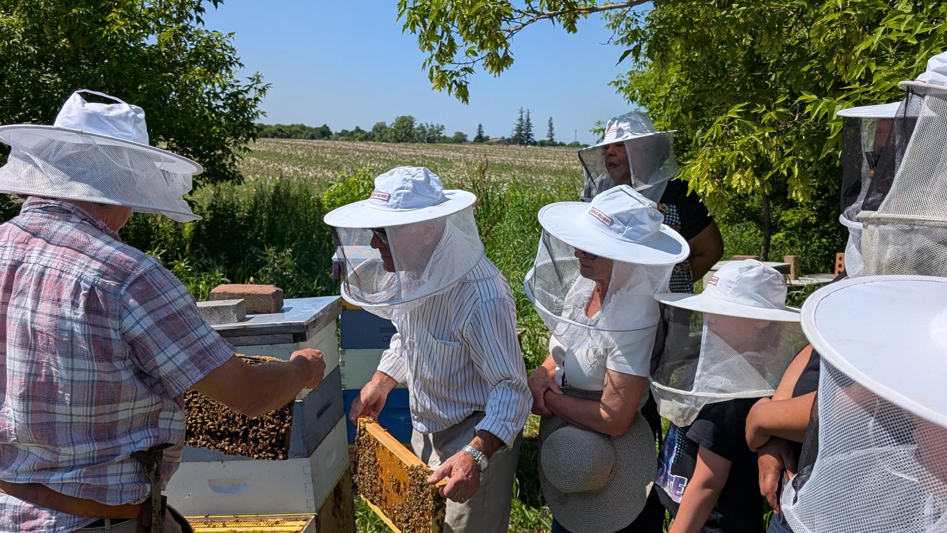 Community Bee Demo/Workshop